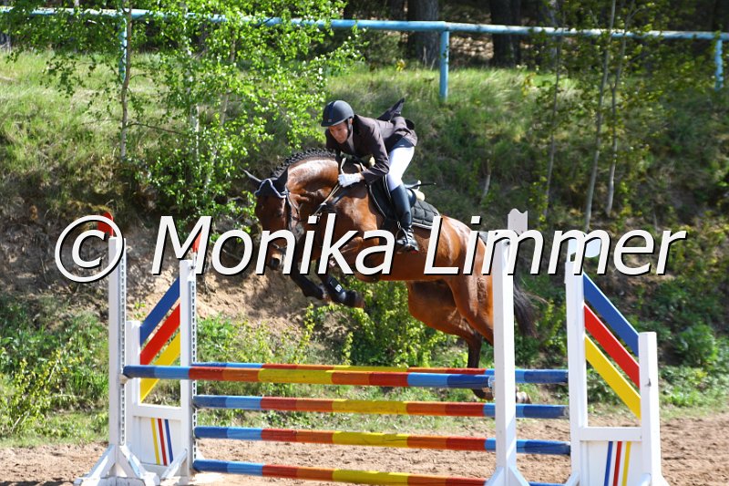 004M1630_Upper Class_Springpferde A xx.JPG